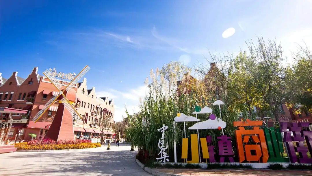 1664346982860680.jpg 2.jpg